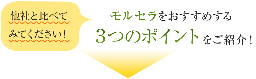 他社と比べてみてください！モルセラをおすすめする3つのポイントをご紹介！