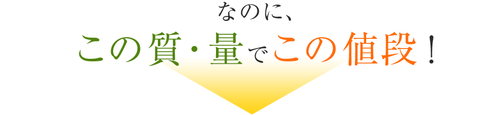 なのに、この質・量でこの値段！