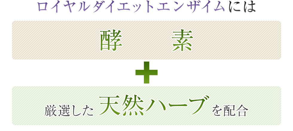 ロイヤルダイエットエンザイムには酵素＋厳選した天然ハーブを配合